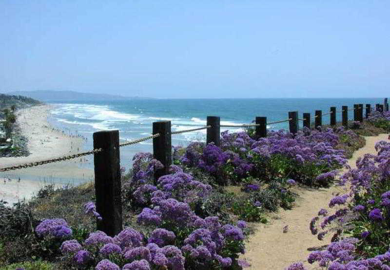 Residence Inn San Diego Del Mar Luaran gambar